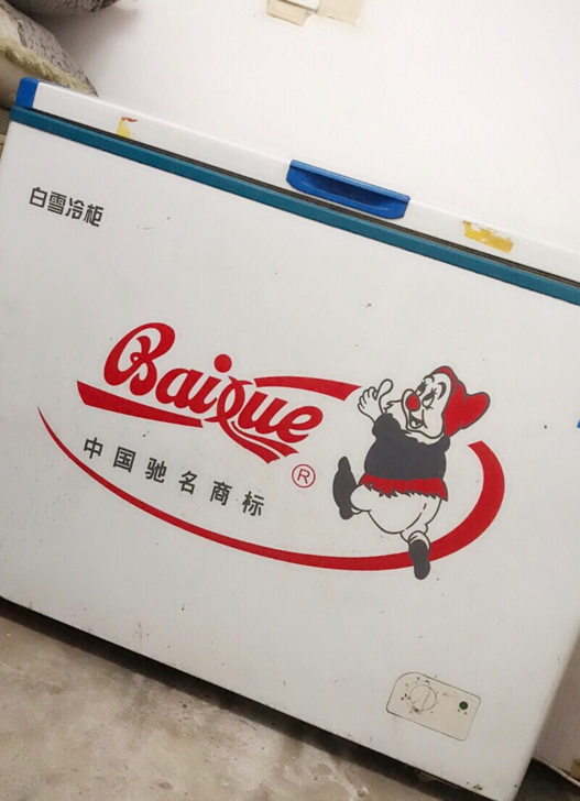 白雪冷柜,去年春天买的,没用几个月一直闲置...