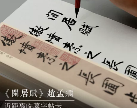 学书法赵孟頫闲居赋近距离字帖卡 读好贴,写...