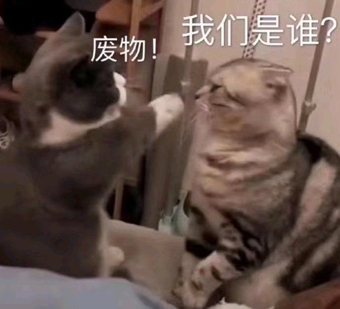 三套汉服+一套送