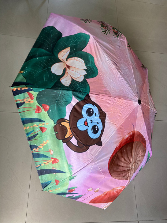 自动+折叠双功能卡通形象雨伞，15元一把，...