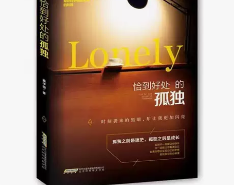 恰到好处的孤独 散文 杂文 小说 青春励志...