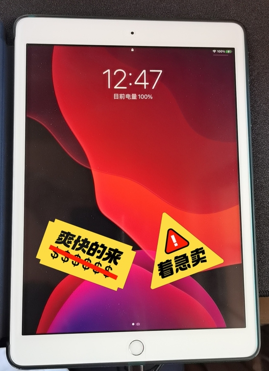 2019 iPad10.2英寸 32G 大...