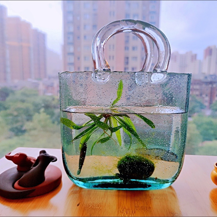 ins网红意创手提透明玻璃包包花瓶养水插花...