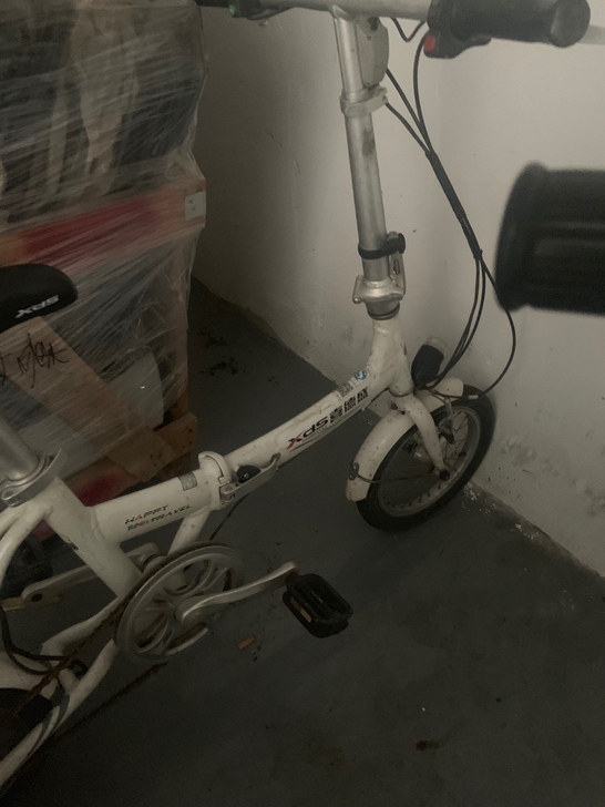 喜德盛漫步者2!现在只能当自行车骑!铝合金...