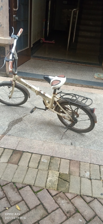 学生自行车，买来不喜欢很少骑，外壳锈了，