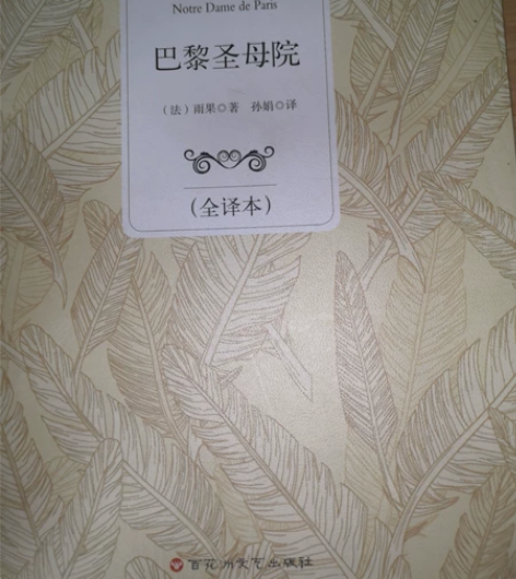 《巴黎圣母院》全新 多了一本故而卖掉 无划...