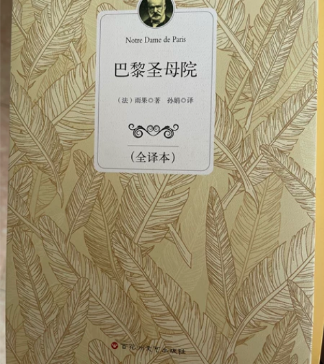 巴黎圣母院文学小说 买来没看过 全新 出出...