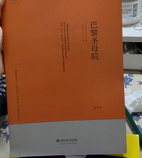 《巴黎圣母院》文学小说 全新