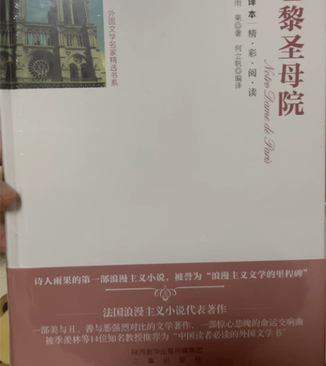 巴黎圣母院 全译本 三秦出版社 全新未拆封...