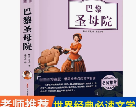 知识考题版 巴黎圣母院 名师导航无障碍阅读...