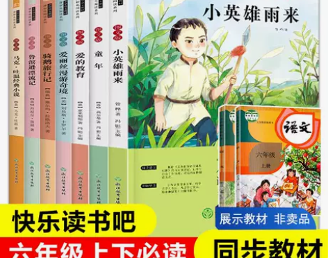 快乐读书吧六年级上下册全套7册爱的教育童年...