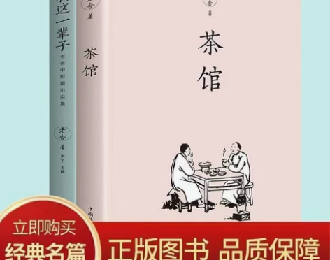 茶馆老舍『原著』 我这一辈子 老舍的书现当...