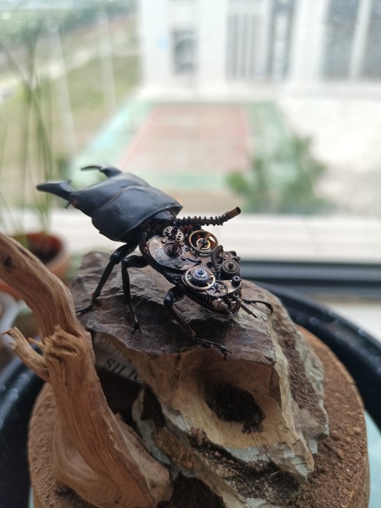 静态标本废土蒸汽朋克昆虫标本~机械昆虫标本...