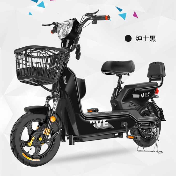 思帝诺新国标48V新款电动车电动自行车小型...