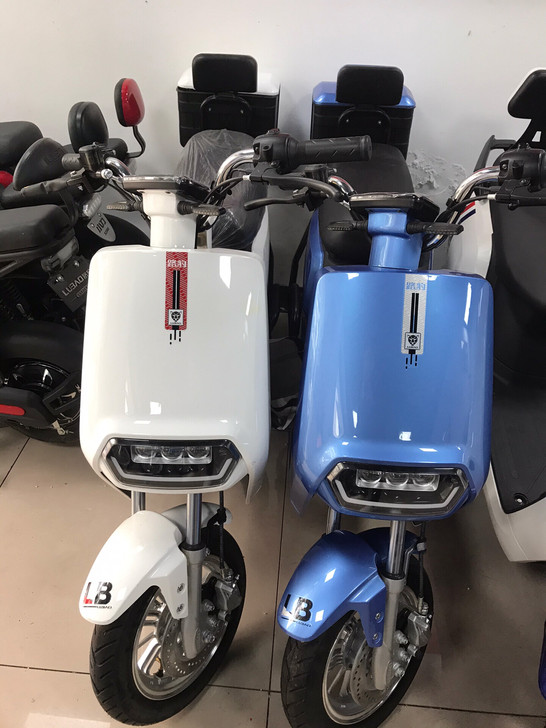 路豹国标电动车，续航60公里左右，前后真空...