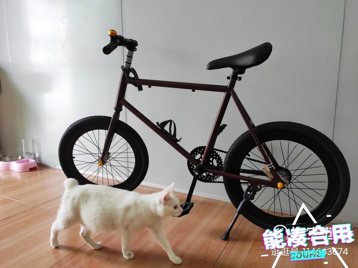 20寸死飞自行车，儿童单车
