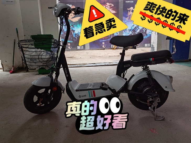 台铃电动车48付新国标车