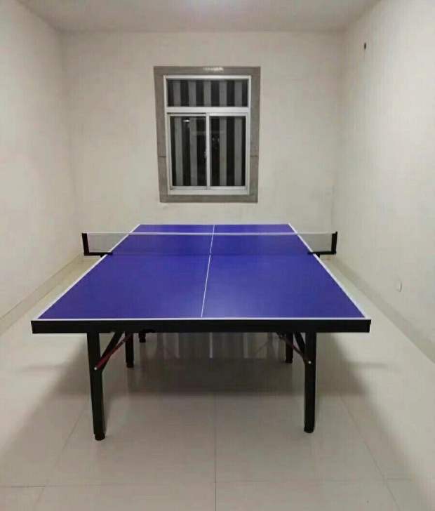 捡漏价处理!!可折叠乒乓球桌乒乓球桌球台家...