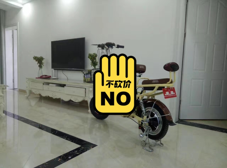 凤凰电动车,卖给需要的有缘人!本地自提, ...