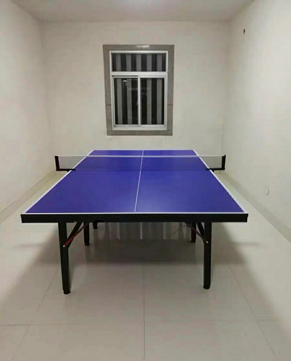 捡漏价处理！！可折叠乒乓球桌乒乓球桌球台家...