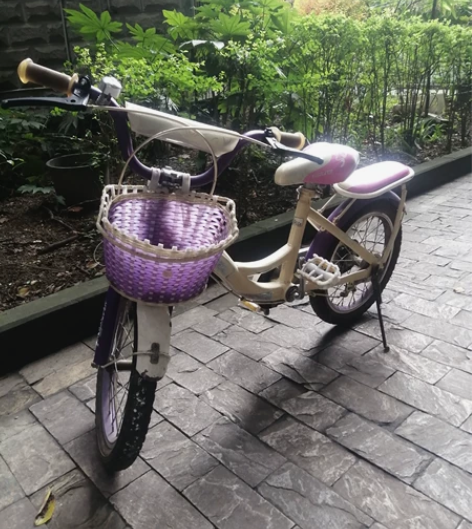 上海永久儿童自行车,地点成都大学附近 因小...