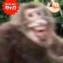 炉石传说竞技场