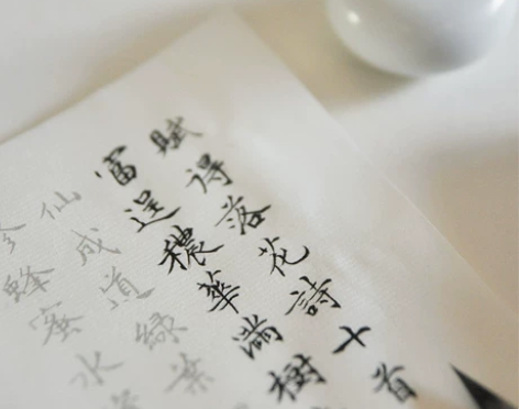 转 全新 花草小楷毛笔字帖描红宣纸书法练...