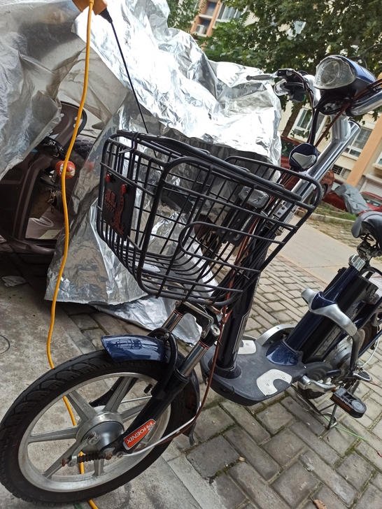 凤凰锂电池电动车,基本没怎么用,九九新,