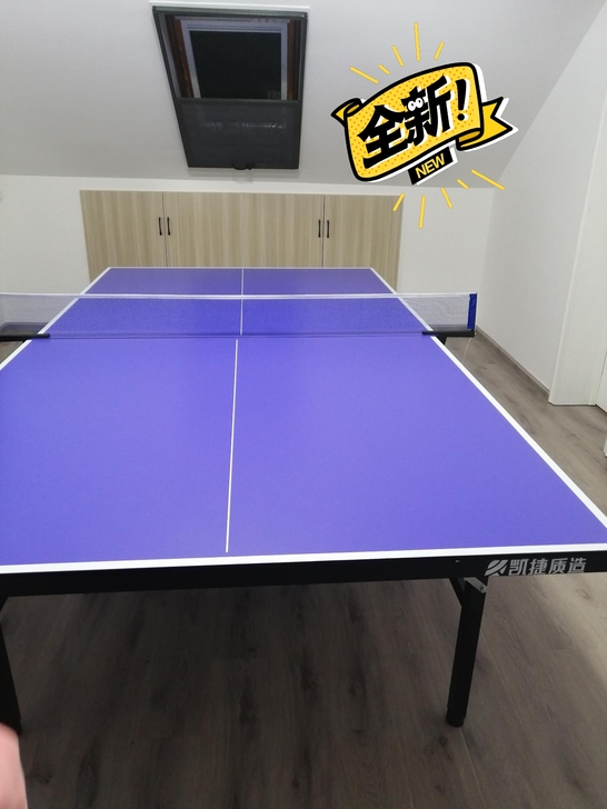闲置公司搞活动购入国标尺寸可折叠乒乓球桌
