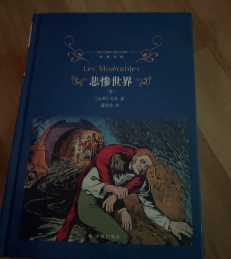 【悲惨世界】已拆封 但未翻阅 自己买在家没...