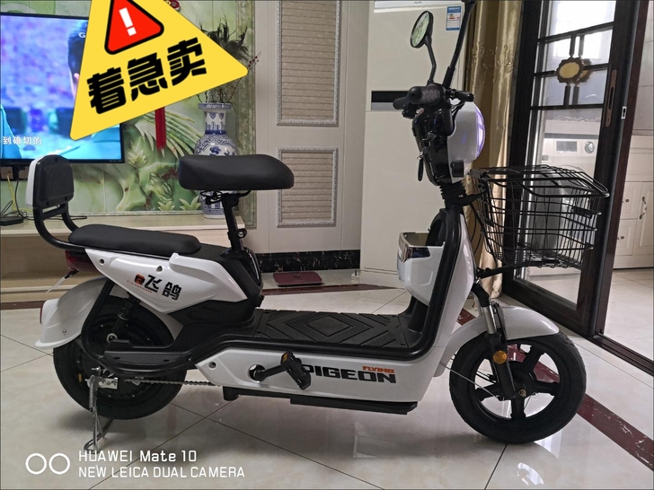 【挥泪大甩卖】新国标飞歌2021新款电动车...