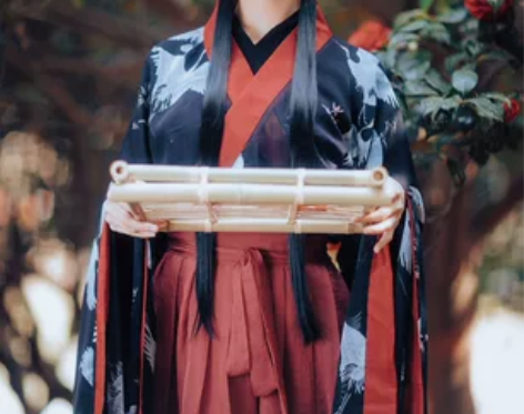 兰若庭 汉服 二重衣 大袖 魏晋风 交领 ...