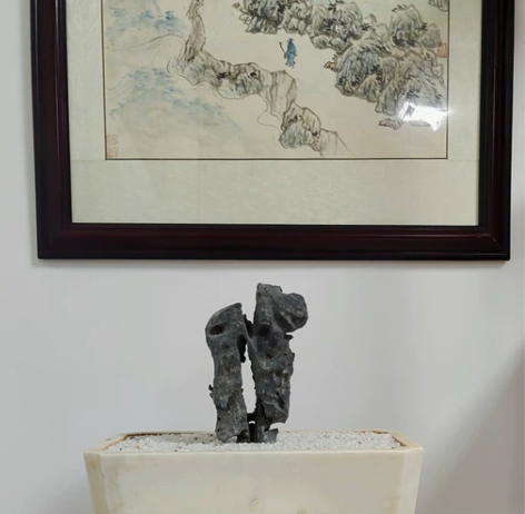 太湖石墨石纯天然奇石形态优美独特19×12...