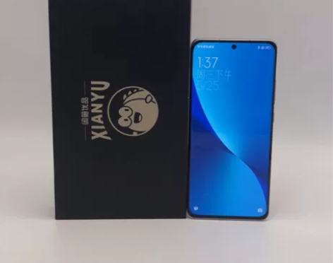 95新MIUI/小米 小米手机 12 X(...