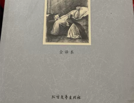 悲惨世界 名著 原价180 感兴趣的话点“...