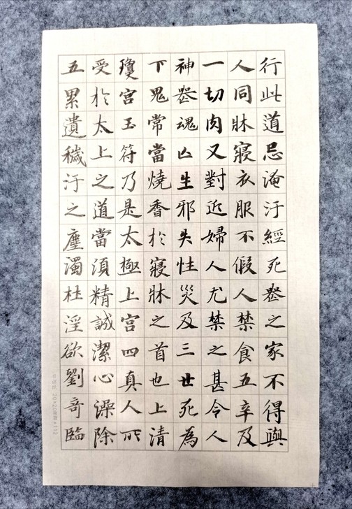 日课临习灵飞经一纸，有意者私，廉价闲抛闲掷...