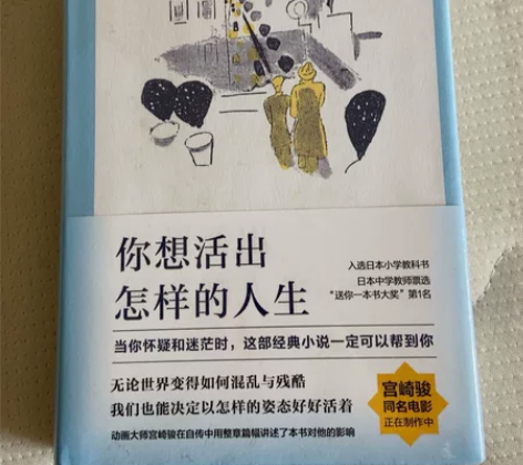 《你想活出怎样的人生》书籍,全新未拆封,喜...