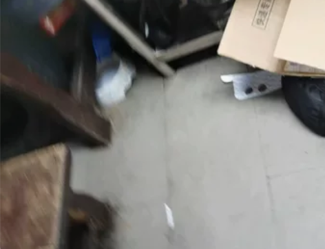 松下变频微波炉 上海人家正在使用中,刚刚收...