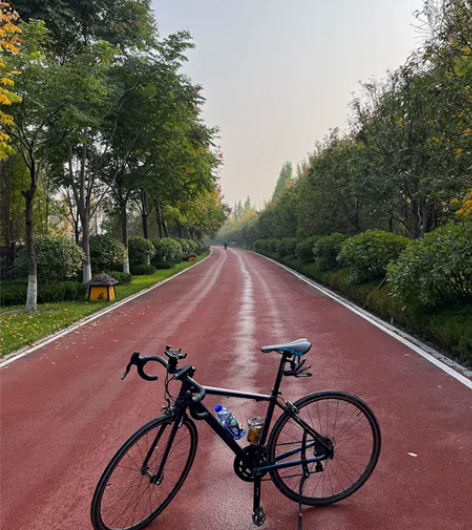 喜德盛RX260，16速，460mm，今年...