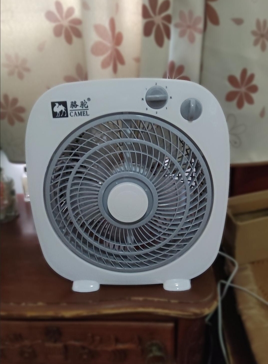 全新包邮价 最后6台了 骆驼电风扇 台式家...
