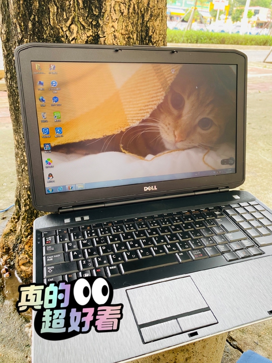 女生个人自用的戴尔Dell 笔记本电脑 便...
