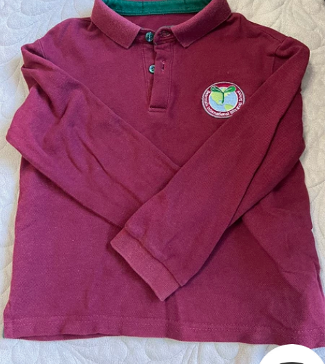 青苗国际学校校服，长袖Polo衫，男女同款...