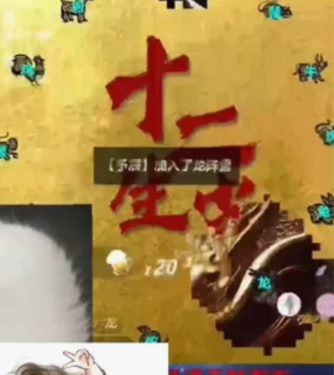 三体弹幕游戏,多功能自定义,12生肖皮肤 ...