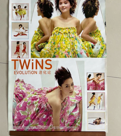 Twins,进化论,专辑正版宣传海报,实物...