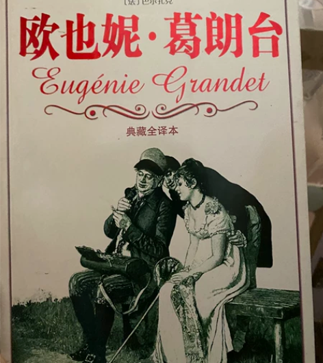 书籍小说经典文学著作言情小说作品养生保健职...