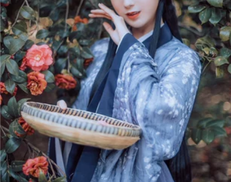 兰若庭汉服 二重衣印花 魏晋风广袖交领襦裙...