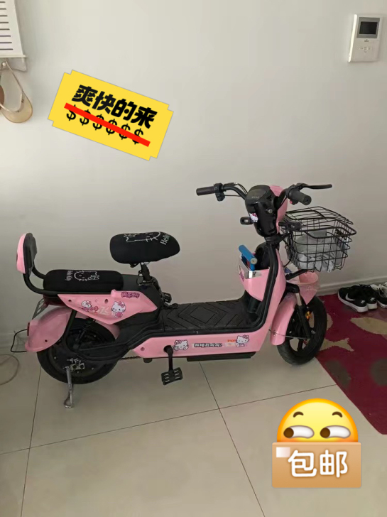 【含泪甩卖】电动车锂电池电瓶车3c带脚蹬助...