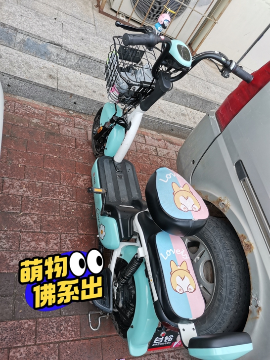 品牌:台铃电动车