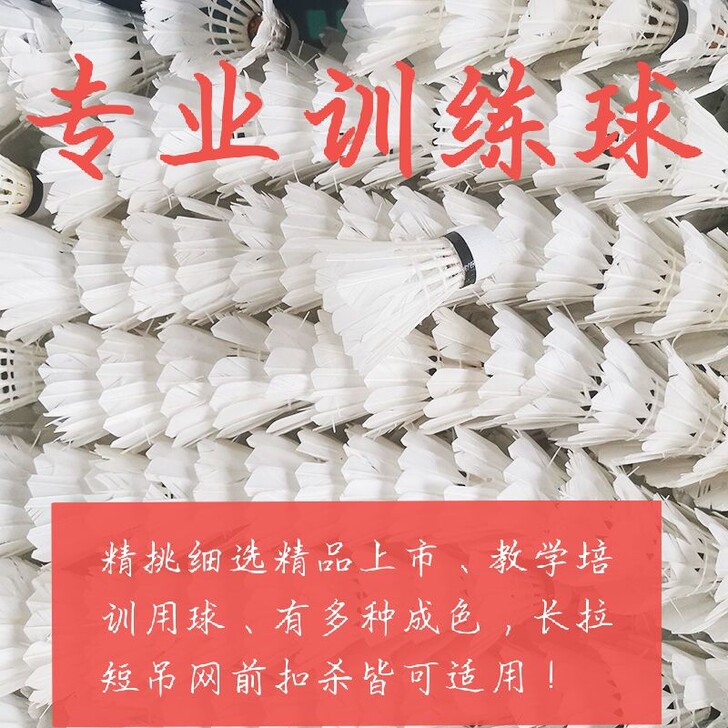 包邮多成新六七八九二手品牌羽毛球训练球10...