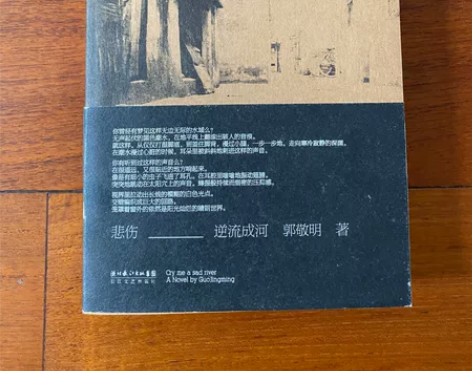 郭敬明 已绝版 悲伤逆流成河 左手倒影 ...